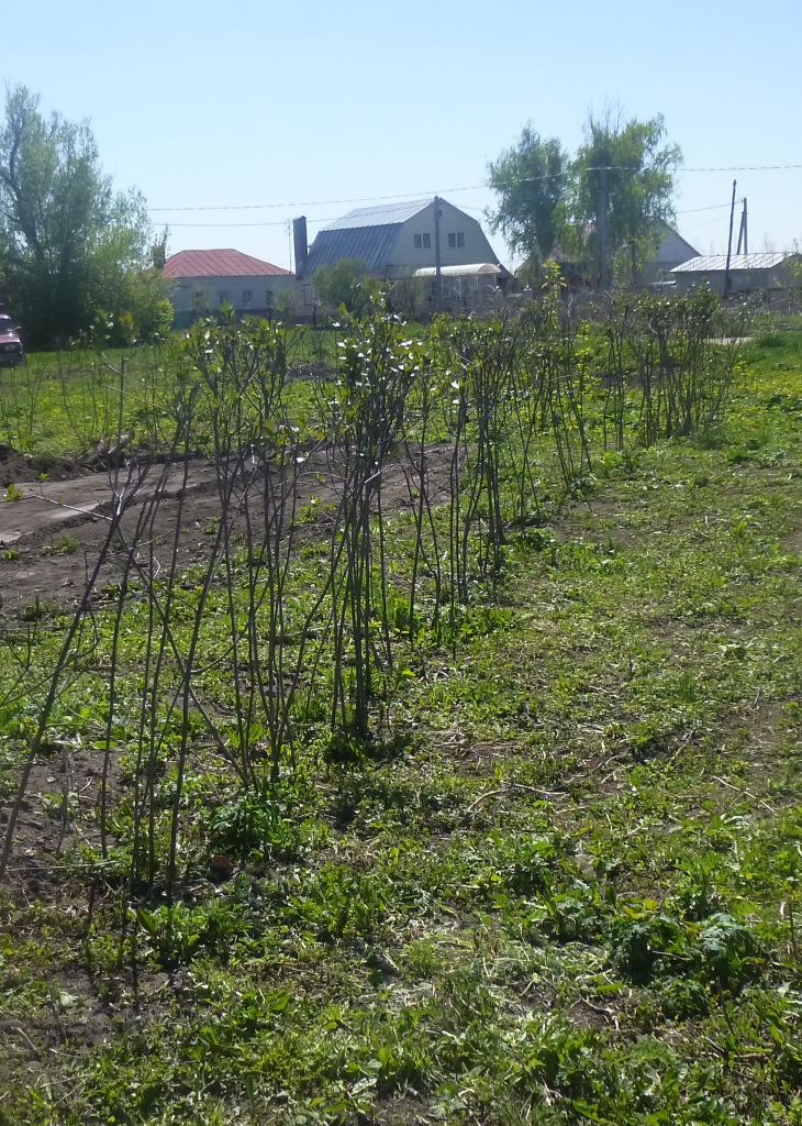  «Бессмертный полк» в селе Алгасово Моршанского района Тамбовщины  - фото 48