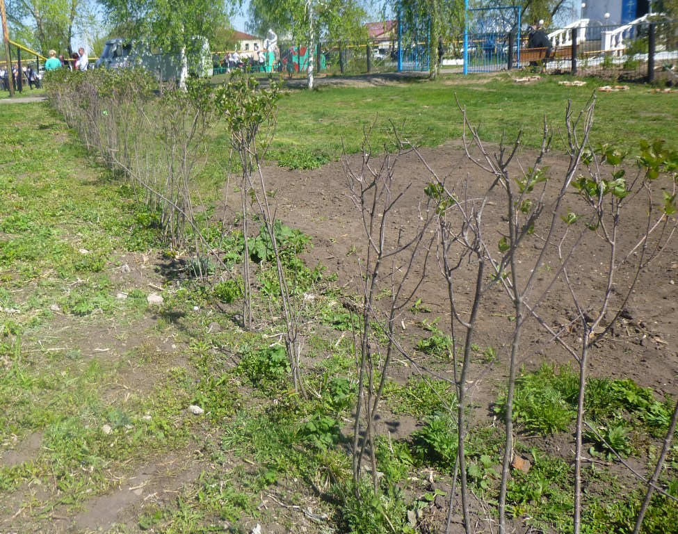  «Бессмертный полк» в селе Алгасово Моршанского района Тамбовщины  - фото 49