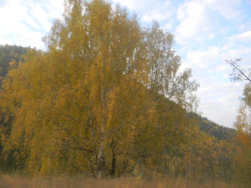 Алтай. Осень. Тишина - фото 63