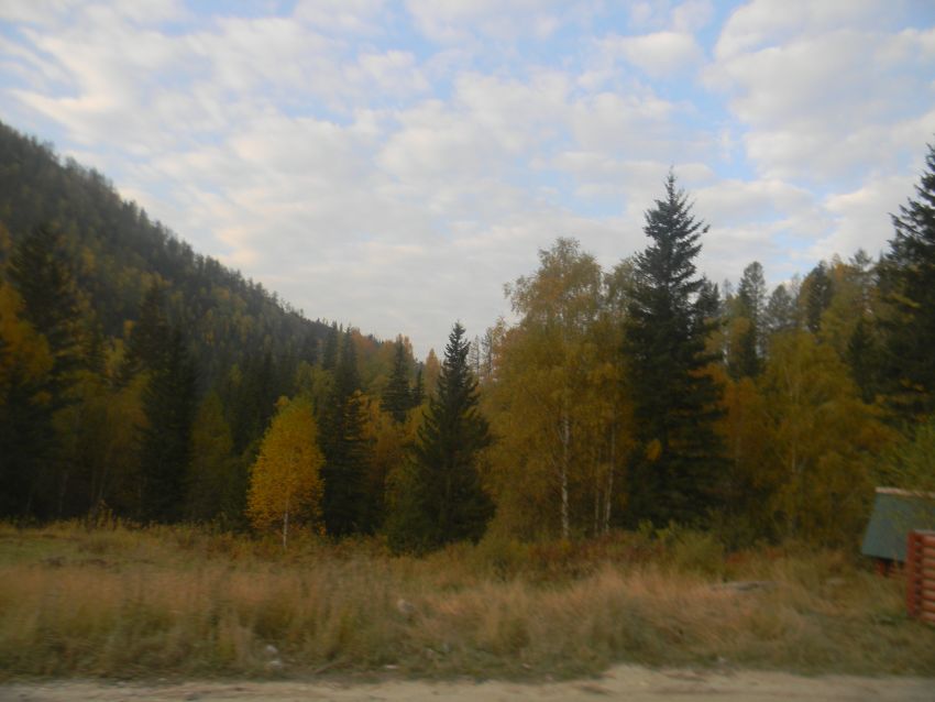 Алтай. Осень. Тишина - фото 64