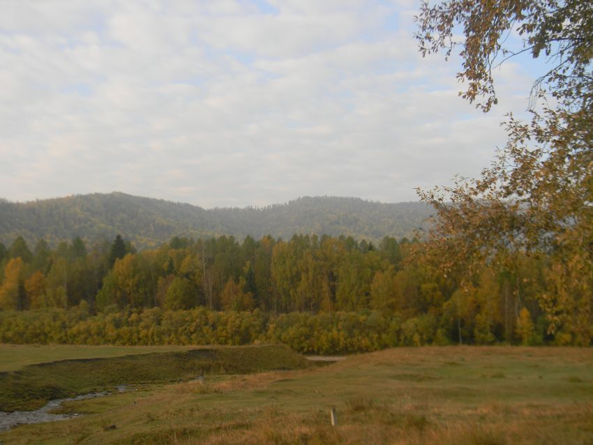 Алтай. Осень. Тишина - фото 66