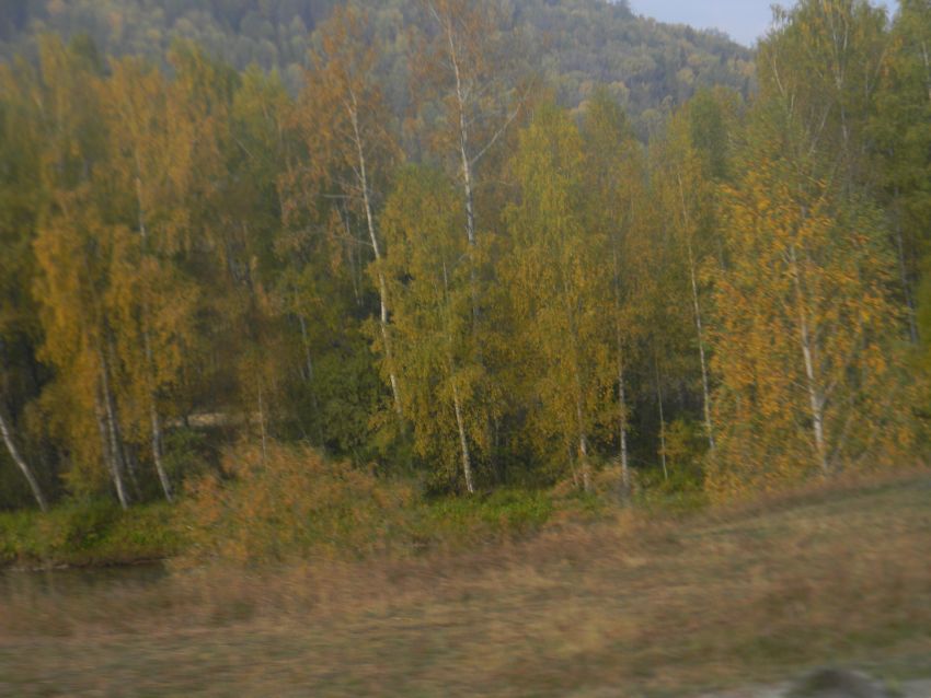 Алтай. Осень. Тишина - фото 67