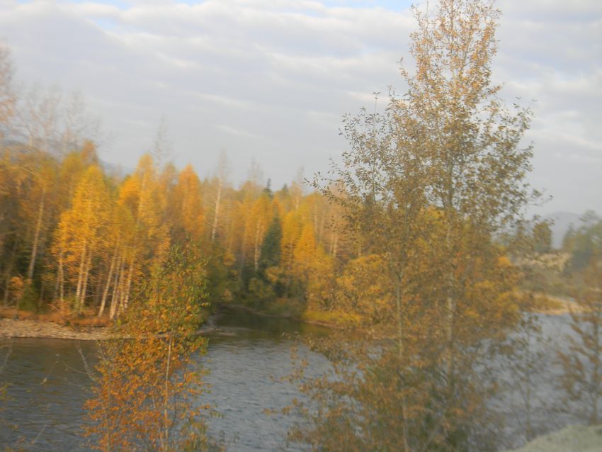Алтай. Осень. Тишина - фото 70