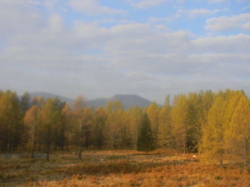 Алтай. Осень. Тишина - фото 74