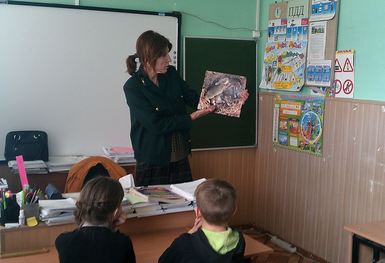 Тематические уроки для школьников проводятся в Ярославской области в рамках реализации федерального проекта «Сохранение лесов» - фото 1