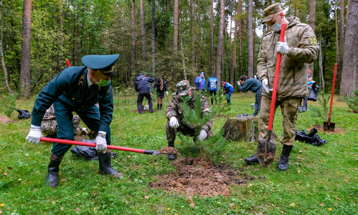 В Ивановской области в рамках Всероссийской  акции «Сохраним лес» высадят около полумиллиона деревьев - фото 1
