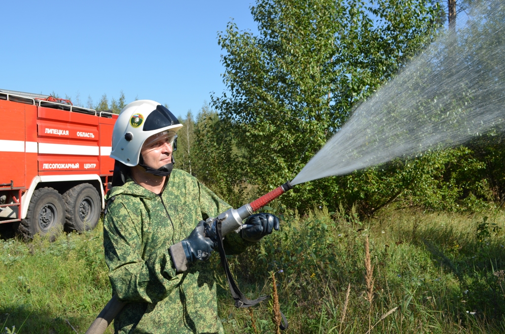 Глава Липецкой области Игорь Артамонов утвердил сводный план тушения лесных пожаров на территории региона - фото 1