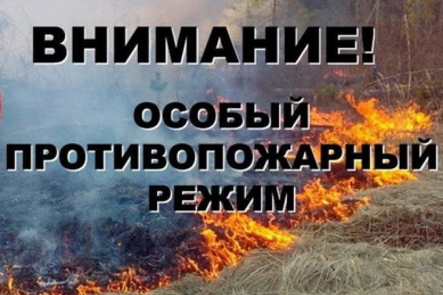 Особый противопожарный режим установлен в Ивановском регионе с 15 апреля - фото 1