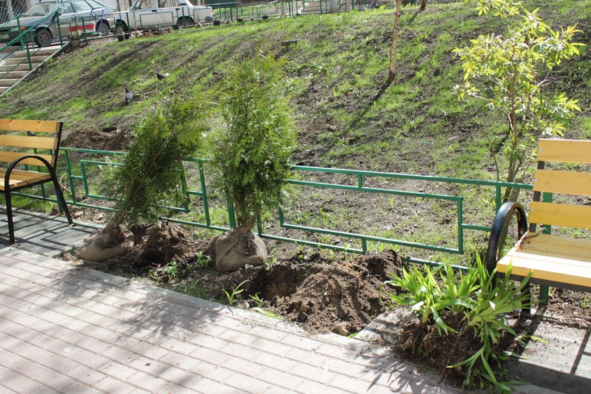 Посади рощу ста слов. Памяти поколения, прошедшего Великую Отечественную войну - фото 2