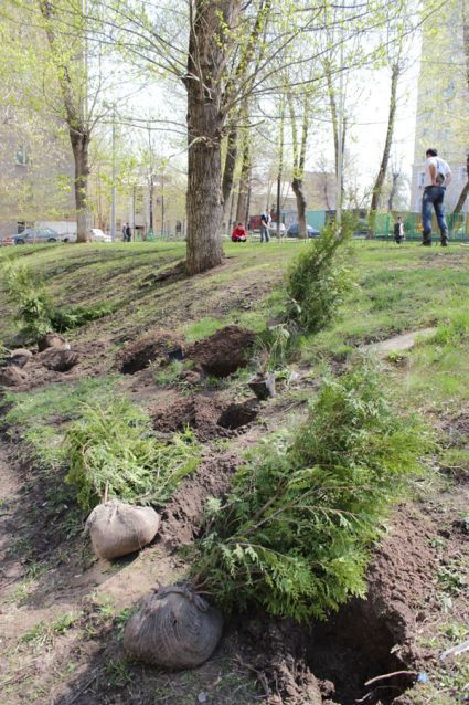 Посади рощу ста слов. Памяти поколения, прошедшего Великую Отечественную войну - фото 5