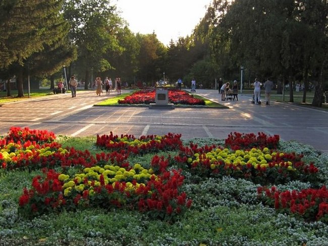 Специалисты назвали лучшие парки Новосибирска - фото 1