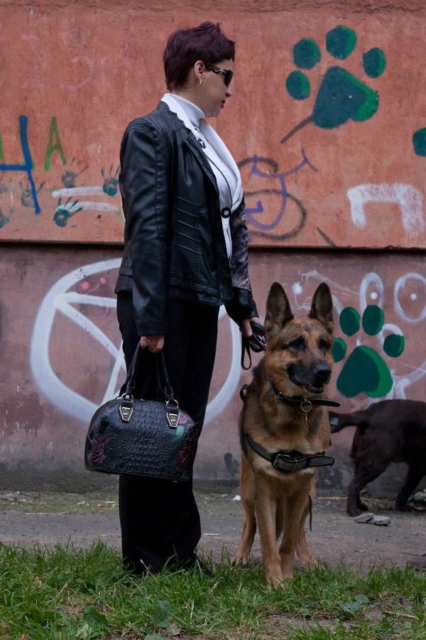Глаза незрячих людей: в Новосибирске состоялась встреча Совета владельцев собак-проводников - фото 6