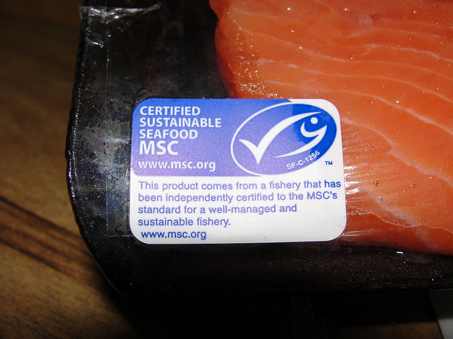 msc fish