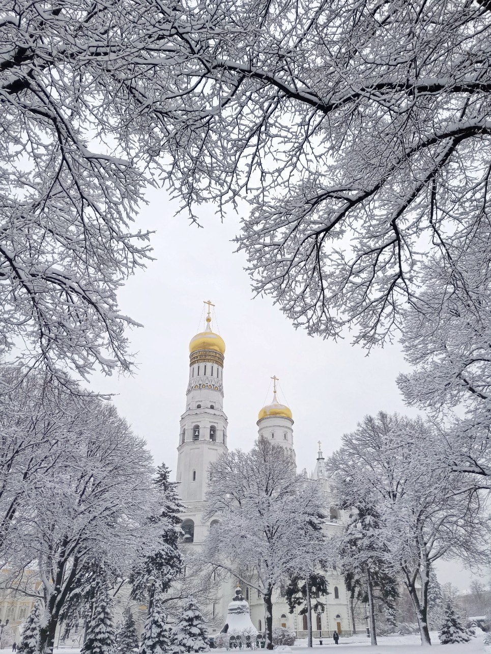 В Кремль пришла снежная зима  - фото 2