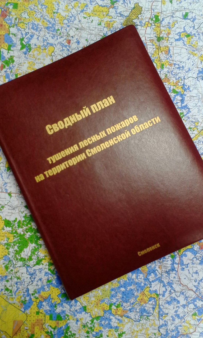 На Смоленщине завершена разработка Сводного плана тушения лесных пожаров на 2020 год - фото 1