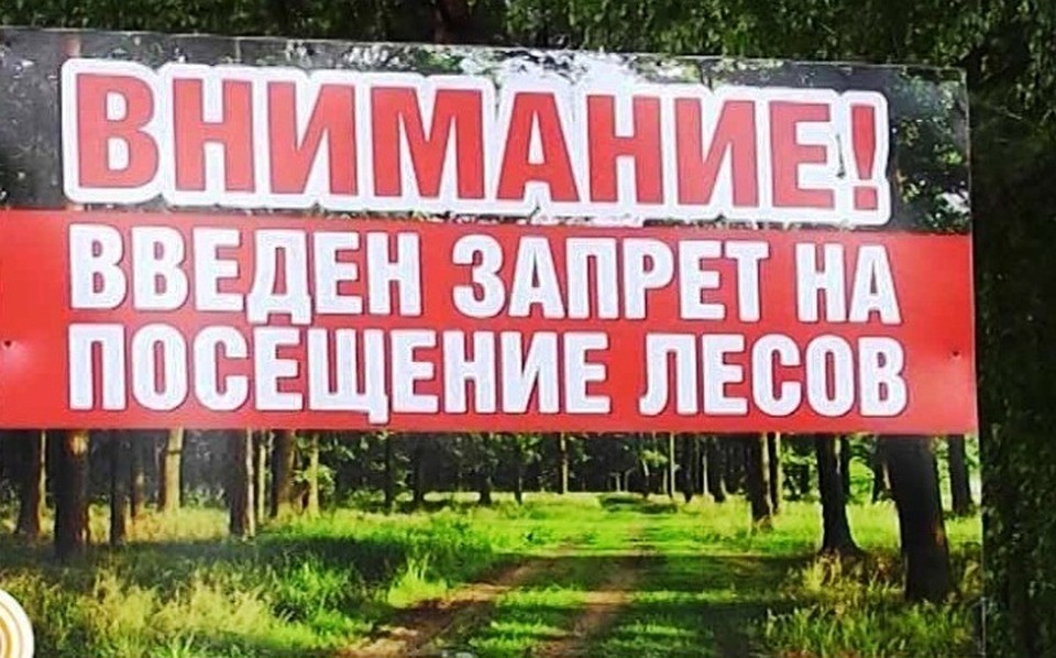 Особый противопожарный режим и ограничение посещения лесов введены в Курской области - фото 1