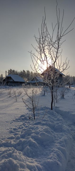 Бёрдинг от "ЭкоГрада": новый сезон на новых квартирах - фото 2