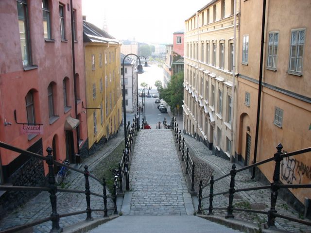 Бойня в Стокгольме: барсук загрыз кошку - фото 1