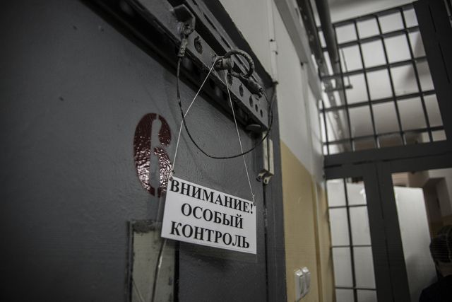 Черепашку арестованного губернатора спасут волонтёры - фото 1