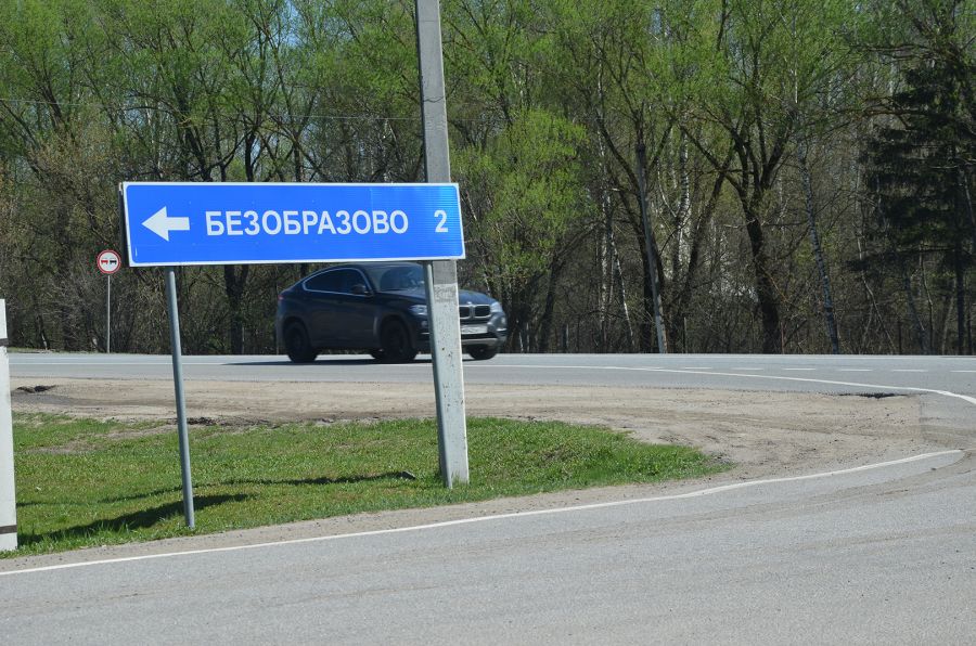 Это сладкое слово - свобода: В Новой Москве отпустили на волю животных после реабилитации - фото 5