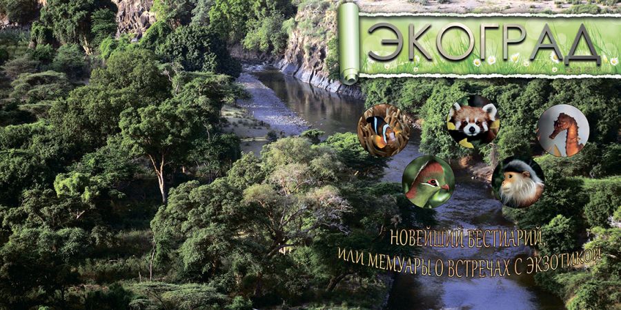 Главный день нашего года - объявлены "Экологи года-2016" по версии "ЭкоГрада" - фото 5