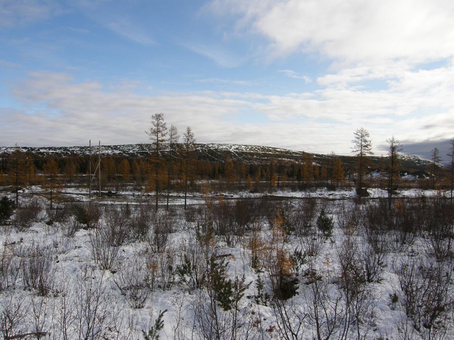 Сухой Лог продали без сенсаций - фото 1