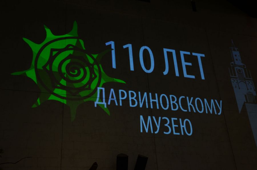 Дарвиновский шик: таксидермические скульптуры из маргиналов и диссидентов (ФОТО, ВИДЕО) - фото 1