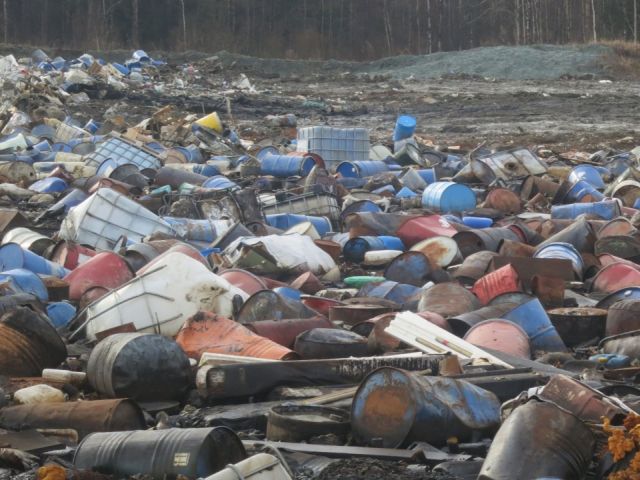 Сергей Донской выдал диспозицию российской экологии - фото 3