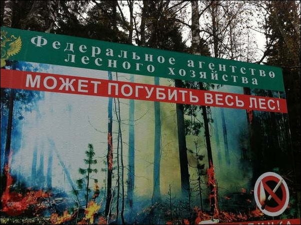 Сергей Донской выдал диспозицию российской экологии - фото 5