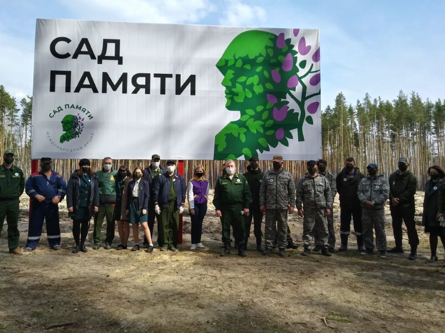 Лесоводы Тамбовщины поддержали международную акцию «Сад памяти» - фото 1