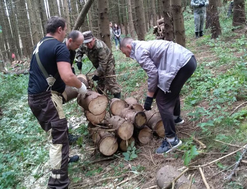 О реализации акции «Живи, лес!» на Смоленской земле - фото 1