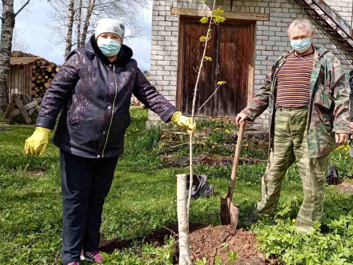 Тверские лесники высадили аллею памяти Героя Советского Союза Гавриленко Александра Гавриловича - фото 1