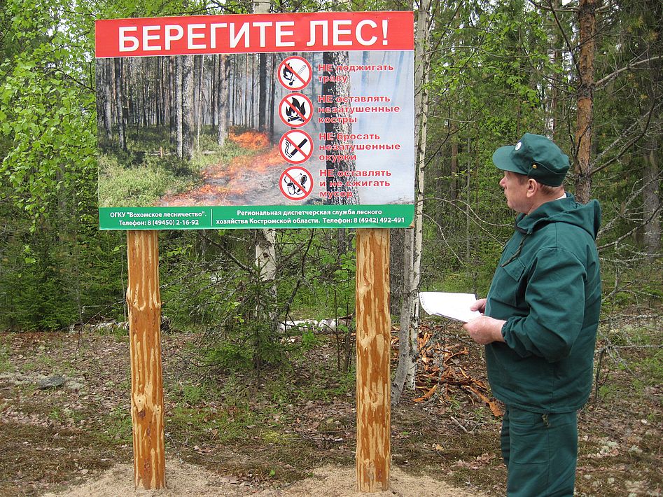 Лесничества Костромской области продолжают приемку работ по выполнению противопожарных мероприятий - фото 1