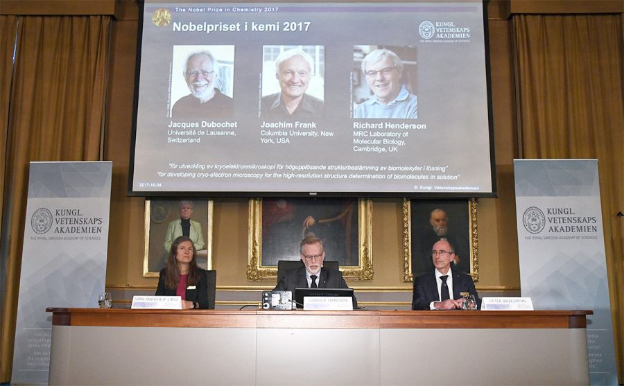 Нобелевская премия по химии заметила молекулы, но не русского исследователя - фото 2