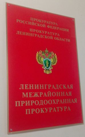 Сиверская и Гатчина - точки рейда экологов во имя экологии - фото 2