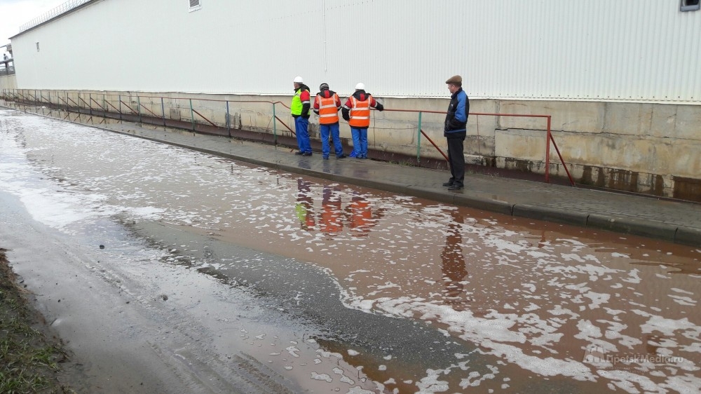 Экологи взяли пробы воды из залитой соком реки Дон в Лебедяни - фото 1
