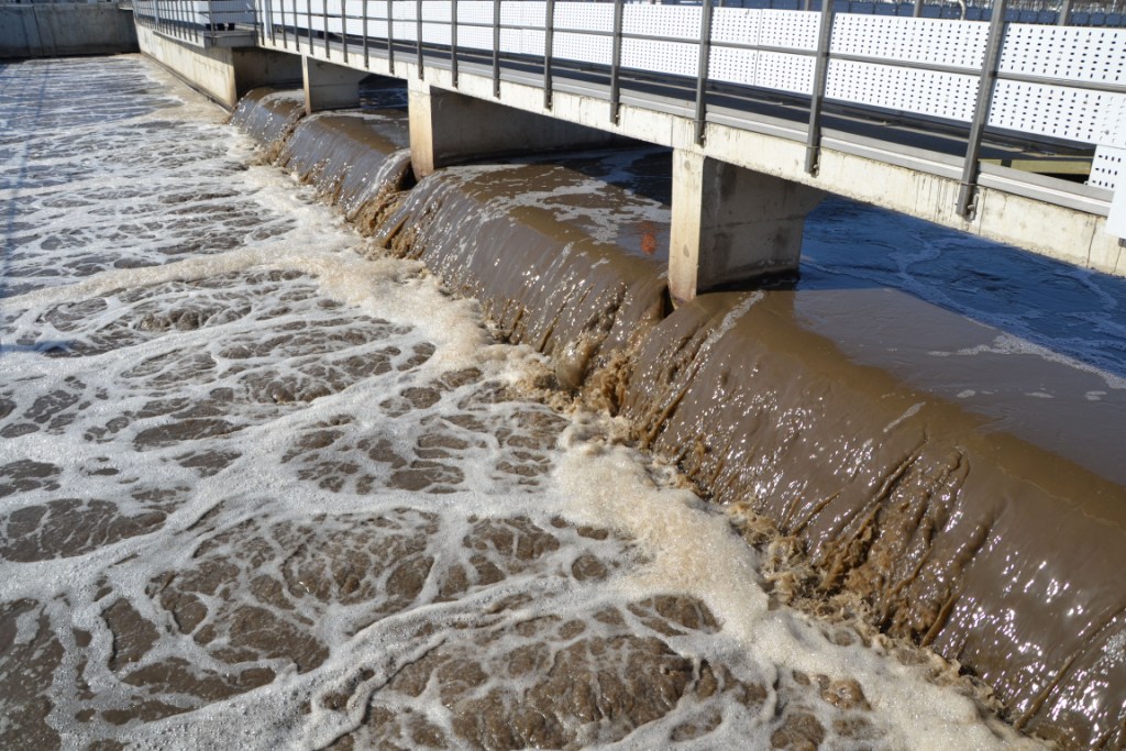  Всемирный День воды на Курьяновских очистных сооружениях  - фото 6