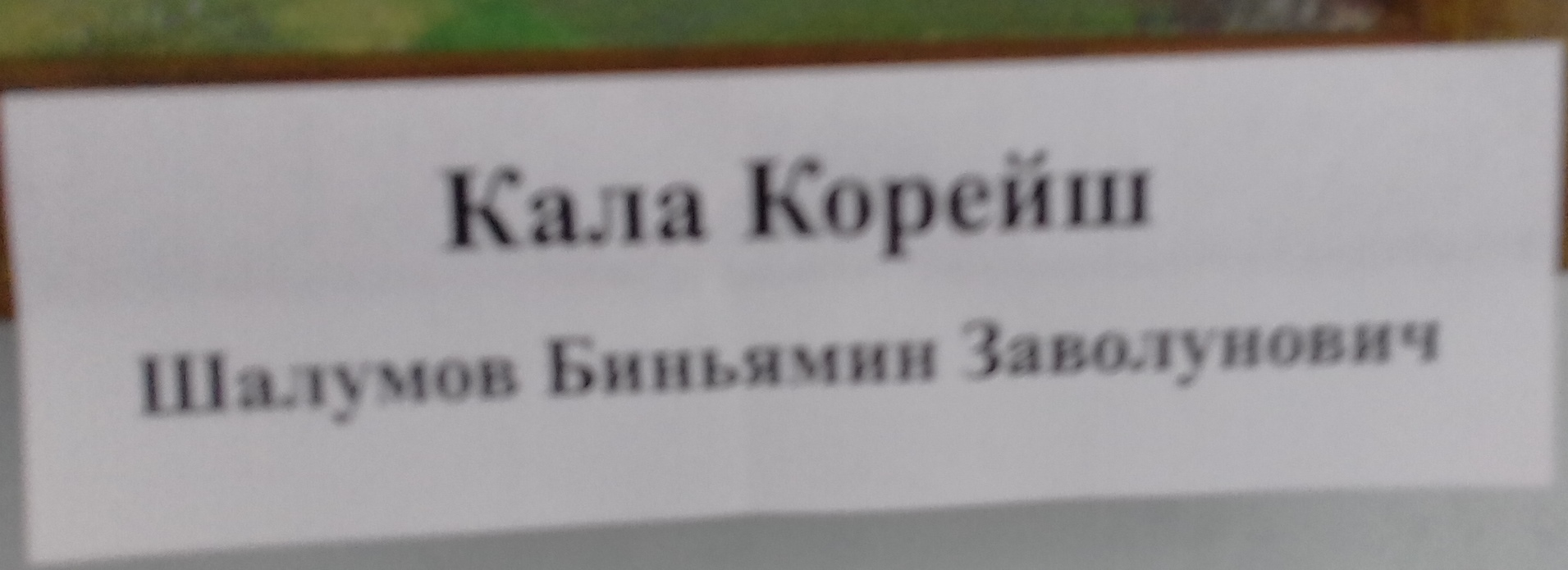 Разностильная выставка художников Дагестана - фото 14