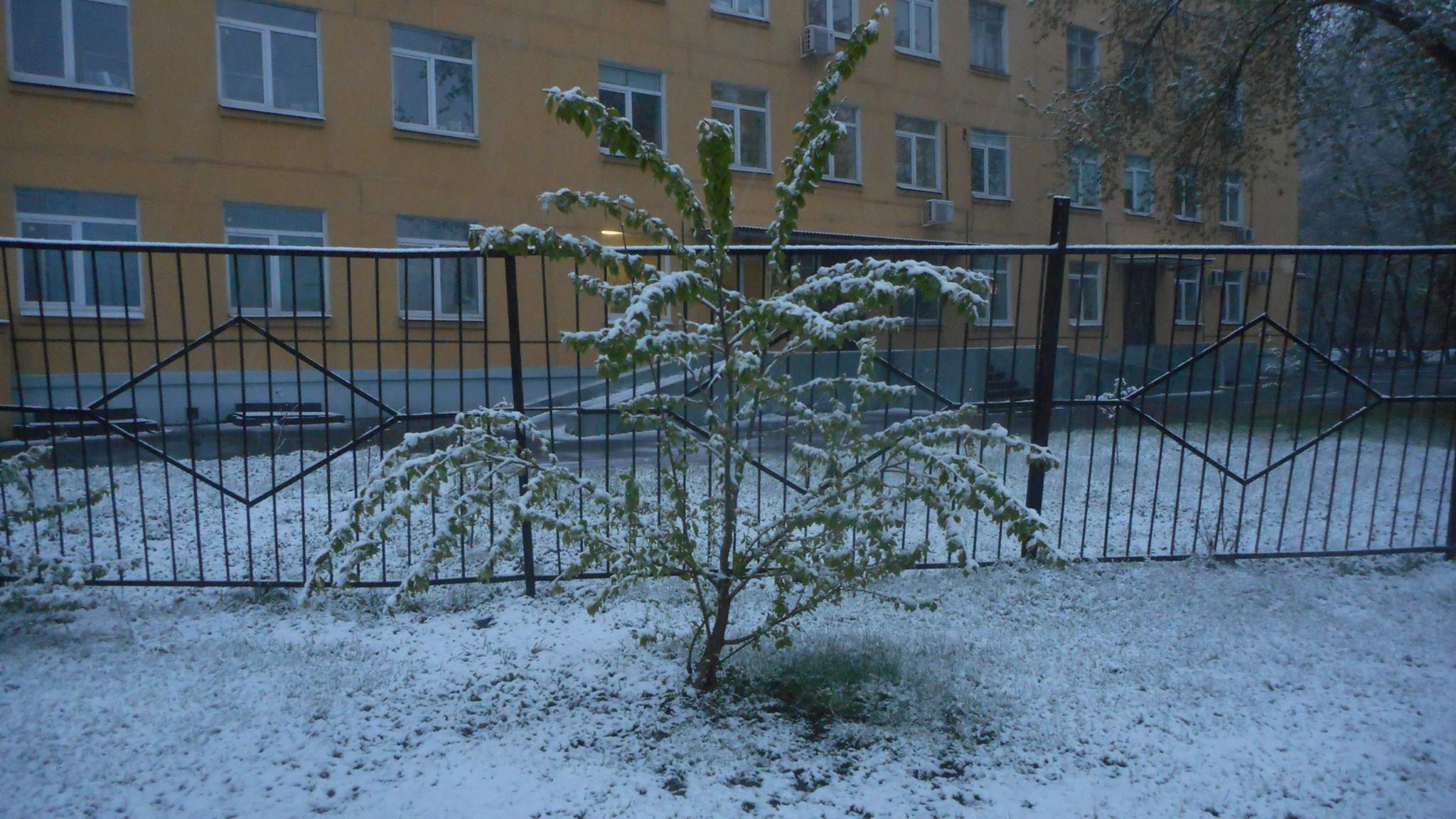 Майские снега в Москве - фото 10