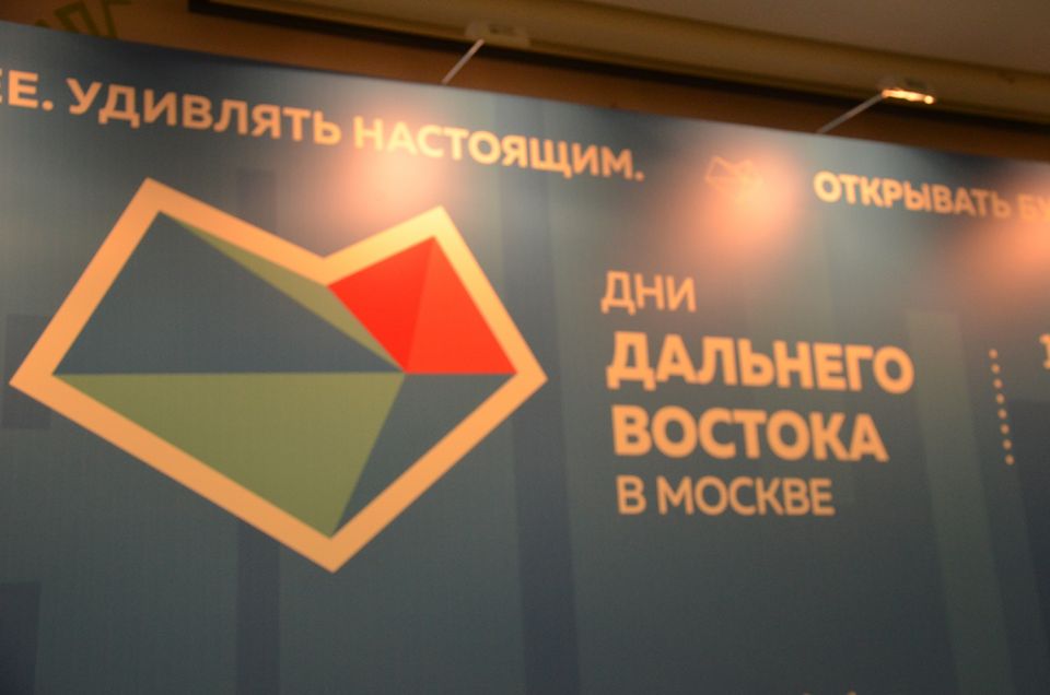 Экологи Дальнего Востока вспомнили о "маленьком человеке", которому нечем дышать и невозможно жить (ФОТО, ВИДЕО) - фото 15