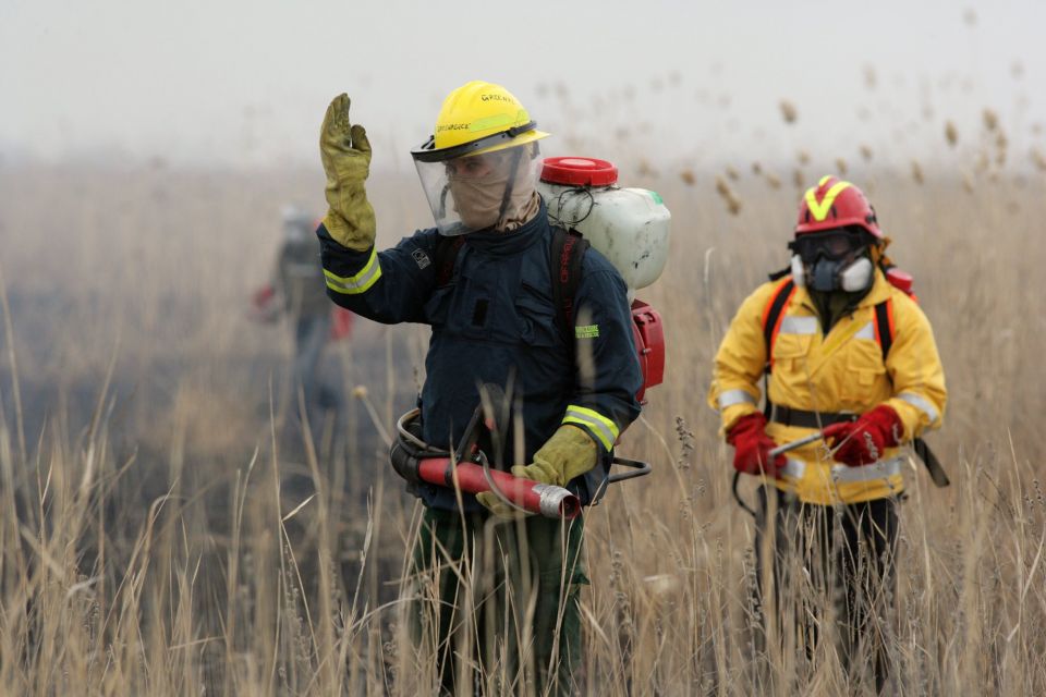 Астраханский заповедник: «Самая наша большая проблема ― весенние поджоги и пожары» - фото 1