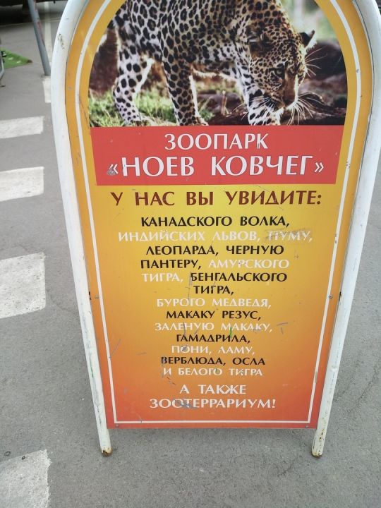 Zoo in Hell. Животные ужасы рязанской "Европы" (ФОТО) - фото 8