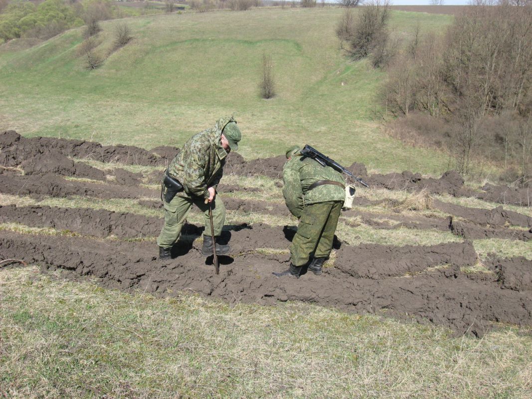 Создание защитной лесной полосы в приграничной зоне Краснояружского района Белгородской области - фото 1