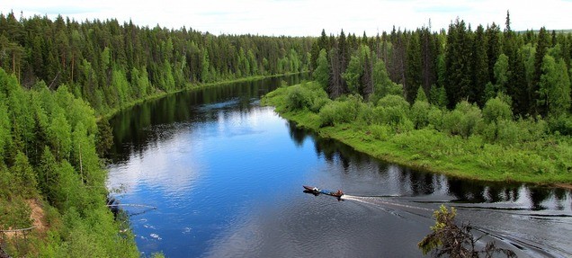 WWF России: Экологические права граждан Архангельской области должны реализовываться - фото 2
