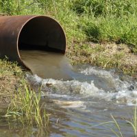 В реку Яуза в Мытищах незаконно сливали сточные воды - фото 1