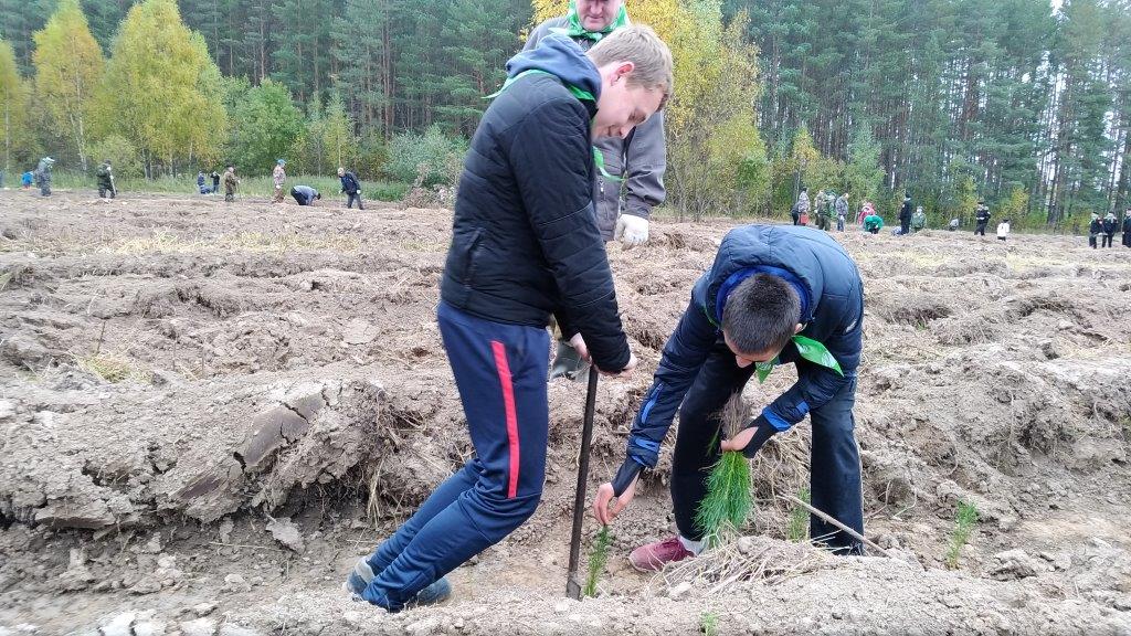 В Ростовском районе Ярославской области прошла центральная акция «Живи, лес!» - фото 26