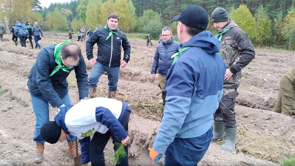 В Ростовском районе Ярославской области прошла центральная акция «Живи, лес!» - фото 27