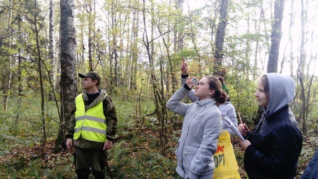 Члены школьного лесничества «Зеленая планета» под руководством ярославских лесников начали учебно-исследовательскую деятельность - фото 1