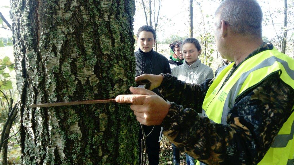 Члены школьного лесничества «Зеленая планета» под руководством ярославских лесников начали учебно-исследовательскую деятельность - фото 3