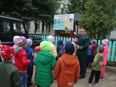 Дошколята посетили Ростовское лесничество Ярославской области - фото 1